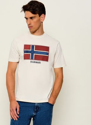 T-shirt męski sportowy Napapijri ze sklepu: Gomez Fashion Store w kategorii: T-shirty męskie - zdjęcie 874714-BD9-10338_NA265M000005288