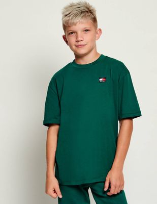 T-shirt chłopięce na lato Tommy Hilfiger ze sklepu: Gomez Fashion Store w kategorii: T-shirty chłopięce