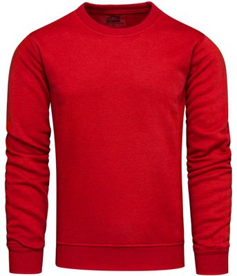 Recea - Bluza męska na zimę ze sklepu: Recea.pl w kategorii: Bluzy męskie - zdjęcie 9131037-22C-6950_2671