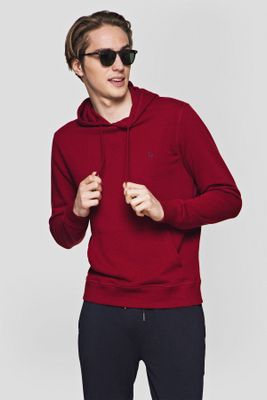 Bluza męska jesienna Lancerto ze sklepu: Lancerto S.A. w kategorii: Bluzy męskie - zdjęcie 938E51-772-11513_BL073221000007.BORDOWY
