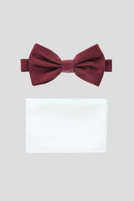 Mucha Lancerto ze sklepu: Lancerto S.A. w kategorii: Muchy - zdjęcie 938E51-772-11513_MU090122000088.BORDO.-