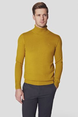 Sweter męski Lancerto ze sklepu: Lancerto S.A. w kategorii: Swetry męskie - zdjęcie 938E51-772-11513_SW073223000012.MUSZTARD