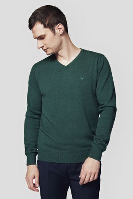 Sweter męski Lancerto ze sklepu: Lancerto S.A. w kategorii: Swetry męskie - zdjęcie 938E51-772-11513_SW073223000050.ZIELONY