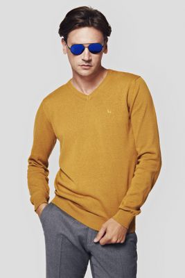 Sweter męski Lancerto ze sklepu: Lancerto S.A. w kategorii: Swetry męskie - zdjęcie 938E51-772-11513_SW073223000054.MUSZTARD