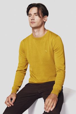 Sweter męski Lancerto ze sklepu: Lancerto S.A. w kategorii: Swetry męskie - zdjęcie 938E51-772-11513_SW073223000082.MUSZTARD