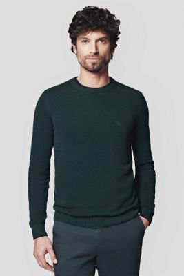 Sweter męski Lancerto ze sklepu: Lancerto S.A. w kategorii: Swetry męskie - zdjęcie 938E51-772-11513_SW073223000094.ZIELONY