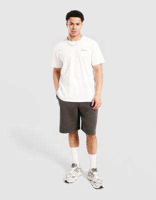 T-shirt męski Columbia ze sklepu: JD Sports  w kategorii: T-shirty męskie - zdjęcie 9C9C4A-9AA-13709_2155021101