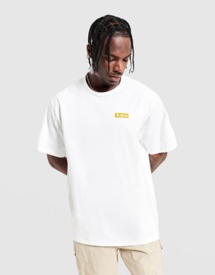 Columbia - T-shirt męski na wiosnę ze sklepu: JD Sports  w kategorii: T-shirty męskie - zdjęcie 9C9C4A-9AA-13709_2155061101