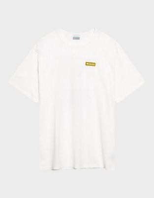 Columbia - T-shirt męski na wiosnę ze sklepu: JD Sports  w kategorii: T-shirty męskie - zdjęcie 9C9C4A-9AA-13709_2155061101