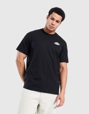 T-shirt męski casualowy na wiosnę Columbia ze sklepu: JD Sports  w kategorii: T-shirty męskie