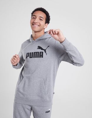 Bluza męska na jesień w stylu młodzieżowym Puma ze sklepu: JD Sports  w kategorii: Bluzy męskie - zdjęcie 9C9C4A-9AA-13709_58668803