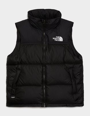 Kamizelka męska jesienna The North Face ze sklepu: JD Sports  w kategorii: Kamizelki męskie - zdjęcie 9C9C4A-9AA-13709_NF0A3JQQGOF1