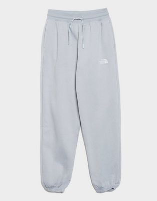 Spodnie damskie w sportowym stylu The North Face ze sklepu: JD Sports  w kategorii: Spodnie damskie - zdjęcie 9C9C4A-9AA-13709_NF0A8C1GFM21