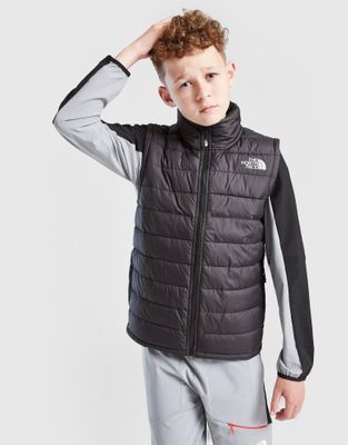 Kamizelka męska jesienna The North Face ze sklepu: JD Sports  w kategorii: Kamizelki męskie - zdjęcie 9C9C4A-9AA-13709_NF0A8FEXJK31