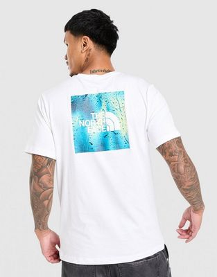 T-shirt męski na wiosnę The North Face ze sklepu: JD Sports  w kategorii: T-shirty męskie - zdjęcie 9C9C4A-9AA-13709_NF0A8HD9FN41