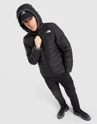 Kurtka męska The North Face ze sklepu: JD Sports  w kategorii: Kurtki męskie - zdjęcie 9C9C4A-9AA-13709_NF0A8M33JK31