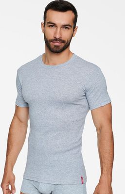 T-shirt męski na wiosnę Henderson ze sklepu: Primodo w kategorii: T-shirty męskie - zdjęcie A0D05E-522-13421_184863