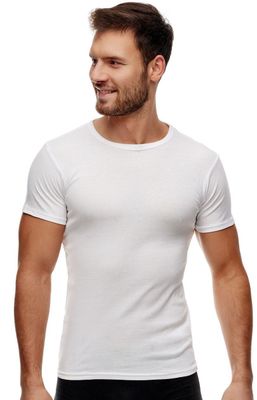 T-shirt męski na wiosnę Noviti ze sklepu: Primodo w kategorii: T-shirty męskie - zdjęcie A0D05E-522-13421_214045