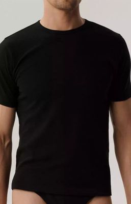 atlantic - T-shirt męski na wiosnę ze sklepu: Primodo w kategorii: T-shirty męskie - zdjęcie A0D05E-522-13421_229279