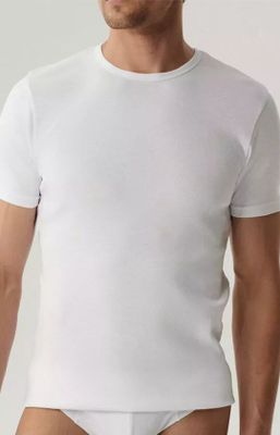atlantic - T-shirt męski na wiosnę ze sklepu: Primodo w kategorii: T-shirty męskie - zdjęcie A0D05E-522-13421_229282