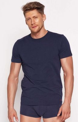 T-shirt męski Henderson ze sklepu: Primodo w kategorii: T-shirty męskie - zdjęcie A0D05E-522-13421_43423