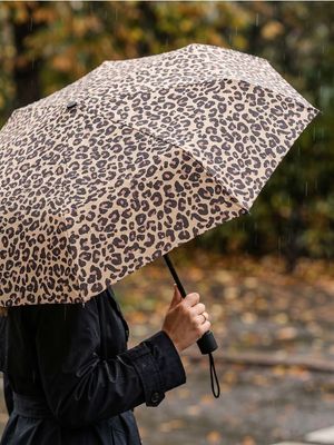 Parasol Sinsay ze sklepu: Sinsay w kategorii: Parasole - zdjęcie CC22A15-4CA-6968_074JO