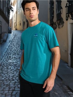 T-shirt męski Sinsay ze sklepu: Sinsay w kategorii: T-shirty męskie - zdjęcie CC22A15-4CA-6968_0998Z