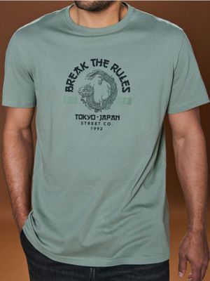 T-shirt męski letni ze sklepu: Sinsay w kategorii: T-shirty męskie - zdjęcie CC22A15-4CA-6968_1033Z
