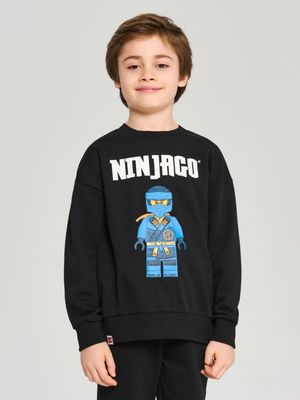 Sinsay - Bluza chłopięca jesienna ze sklepu: Sinsay w kategorii: Bluzy chłopięce - zdjęcie CC22A15-4CA-6968_124FC
