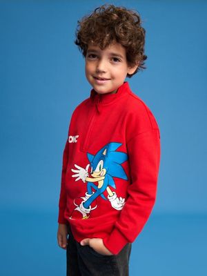 Bluza chłopięca na zimę na wiosnę Sinsay ze sklepu: Sinsay w kategorii: Bluzy chłopięce - zdjęcie CC22A15-4CA-6968_190BX