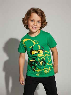 T-shirt chłopięce na lato Sinsay ze sklepu: Sinsay w kategorii: T-shirty chłopięce - zdjęcie CC22A15-4CA-6968_221FC