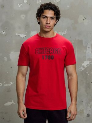 T-shirt męski w stylu młodzieżowym na wiosnę Sinsay ze sklepu: Sinsay w kategorii: T-shirty męskie - zdjęcie CC22A15-4CA-6968_250HL