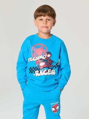 Bluza chłopięca na wiosnę Sinsay ze sklepu: Sinsay w kategorii: Bluzy chłopięce - zdjęcie CC22A15-4CA-6968_271BM