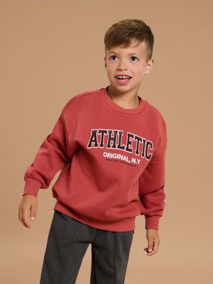 Bluza chłopięca na wiosnę Sinsay ze sklepu: Sinsay w kategorii: Bluzy chłopięce - zdjęcie CC22A15-4CA-6968_351FC