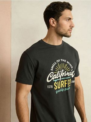 T-shirt męski na wiosnę Sinsay ze sklepu: Sinsay w kategorii: T-shirty męskie - zdjęcie CC22A15-4CA-6968_615JD
