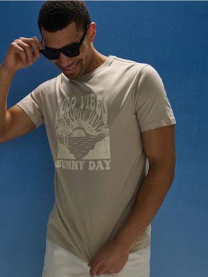 T-shirt męski Sinsay ze sklepu: Sinsay w kategorii: T-shirty męskie - zdjęcie CC22A15-4CA-6968_618JD