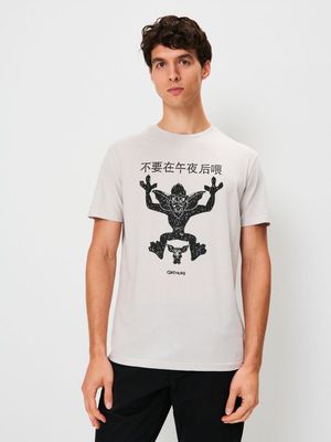 Sinsay - T-shirt męski w stylu młodzieżowym na wiosnę ze sklepu: Sinsay w kategorii: T-shirty męskie