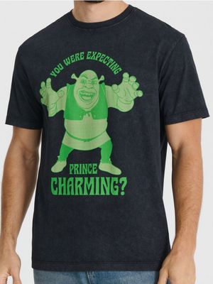 T-shirt męski młodzieżowy Sinsay ze sklepu: Sinsay w kategorii: T-shirty męskie - zdjęcie CC22A15-4CA-6968_7287F