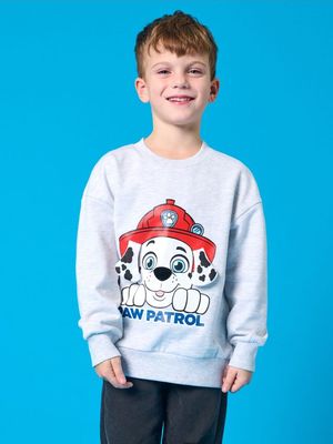Sinsay - Bluza chłopięca na wiosnę ze sklepu: Sinsay w kategorii: Bluzy chłopięce - zdjęcie CC22A15-4CA-6968_800CG