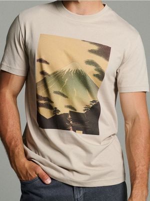 T-shirt męski Sinsay ze sklepu: Sinsay w kategorii: T-shirty męskie - zdjęcie CC22A15-4CA-6968_826GP