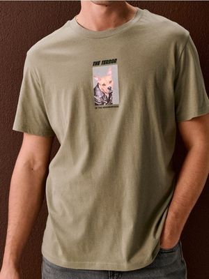Sinsay - T-shirt męski młodzieżowy na wiosnę ze sklepu: Sinsay w kategorii: T-shirty męskie - zdjęcie CC22A15-4CA-6968_871GP