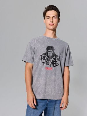 T-shirt męski Sinsay ze sklepu: Sinsay w kategorii: T-shirty męskie