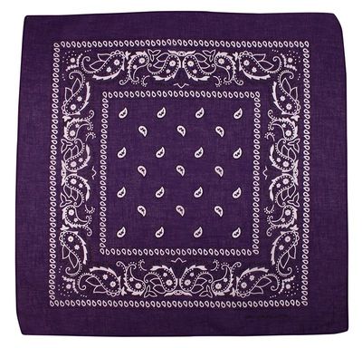 Szalik Pako Jeans ze sklepu: JegoSzafa.pl w kategorii: Szaliki męskie - zdjęcie D87F7971-8A8-365_BDMKPJNSsliwka