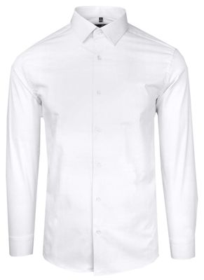 Koszula męska elegancka Victorio ze sklepu: JegoSzafa.pl w kategorii: Koszule męskie - zdjęcie D87F7971-8A8-365_KSDWVCTO578SL