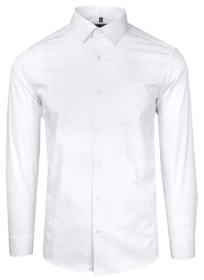 Koszula męska elegancka Victorio ze sklepu: JegoSzafa.pl w kategorii: Koszule męskie - zdjęcie D87F7971-8A8-365_KSDWVCTO655CL