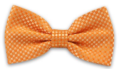 EM Men&amp;#039;s Accessories - Mucha ze sklepu: JegoSzafa.pl w kategorii: Muchy - zdjęcie D87F7971-8A8-365_MUEMACS500010