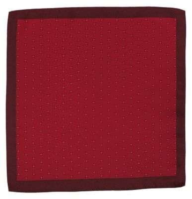 Poszetka/butonierka Alties ze sklepu: JegoSzafa.pl w kategorii: Poszetki i butonierki - zdjęcie D87F7971-8A8-365_POSZALTS0153