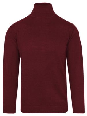 Sweter męski casual zimowy Adriano Guinari ze sklepu: JegoSzafa.pl w kategorii: Swetry męskie - zdjęcie D87F7971-8A8-365_SWADGAW23GOLFwine2