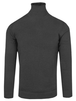 Sweter męski casualowy Adriano Guinari ze sklepu: JegoSzafa.pl w kategorii: Swetry męskie - zdjęcie D87F7971-8A8-365_SWADGAW24GOLFb50