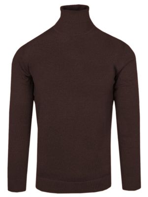Sweter męski zimowy Colosseo ze sklepu: JegoSzafa.pl w kategorii: Swetry męskie - zdjęcie D87F7971-8A8-365_SWALTCLSOgolfbraz